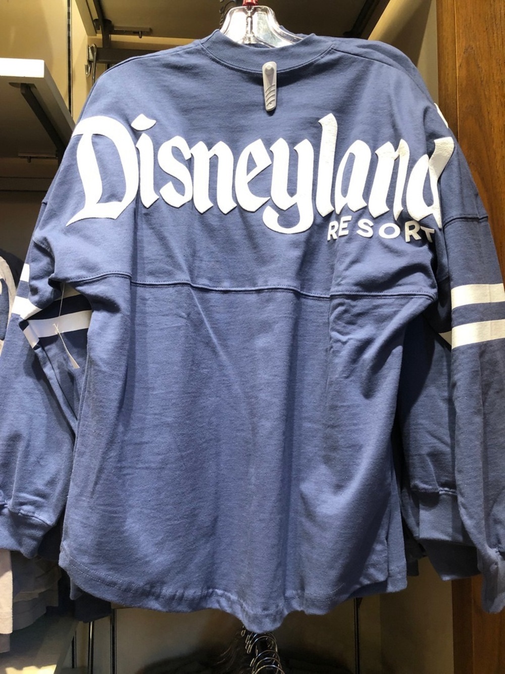 Disneyland Spirit Jersey in Dusty Blue Stripe